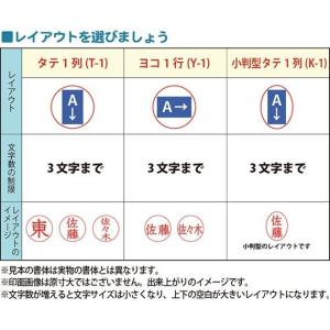 シャチハタ 訂正印 ネーム6 6mm 別注品 ...の詳細画像5