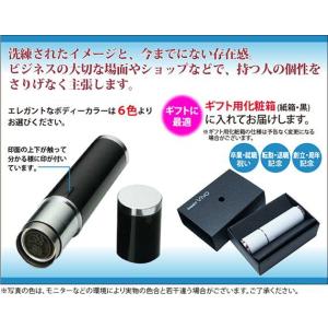 シャチハタ ネーム9 Vivo 別注品 高級ネ...の詳細画像1