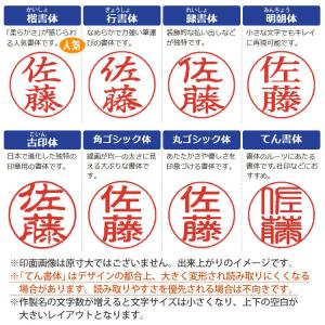 シャチハタ ネーム9 Vivo ゴールド ヴィ...の詳細画像5