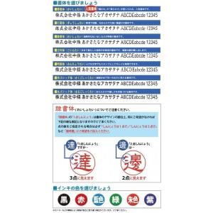 シャチハタ 角型印1551号 住所印 15×5...の詳細画像2