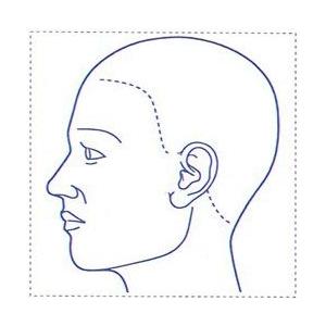 シャチハタ 医療用人体図 「頭（左側）」 20ｘ20mm 角型印2020号 ゴム印