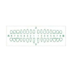 シャチハタ 医療用人体図 「歯-3」 24ｘ71mm 角型印2471号 ゴム印