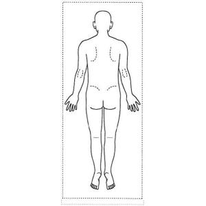 シャチハタ 医療用人体図 「全身（男性背面）」 40x100mm 角型印40100号 ゴム印｜bugyo