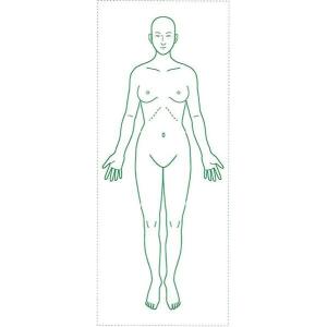 女性 人体 図の商品一覧 通販 Yahoo ショッピング