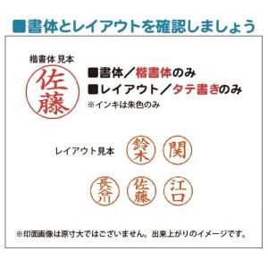 シャチハタ ネームエルツイン 既製品 1本2役...の詳細画像4