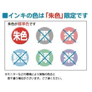 シャチハタ ネームエルツイン 既製品 1本2役...の詳細画像5
