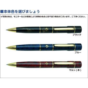 名入れ 印鑑付きボールペン ネームペン レヴィ...の詳細画像3