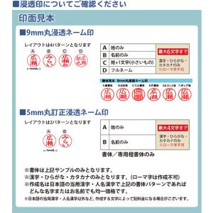 名入れ 印鑑付きボールペン ネームペン レヴィ...の詳細画像4