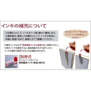 スヌーピー ツインGT ネーム印+訂正印 タニエバーの詳細画像3