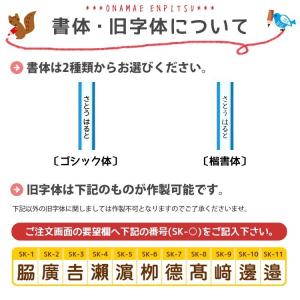 名入れ 鉛筆 赤鉛筆 学習・丸つけ用 赤青鉛筆...の詳細画像3