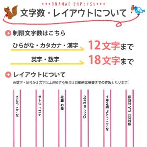 名入れ 鉛筆 赤鉛筆 学習・丸つけ用 赤青鉛筆...の詳細画像4