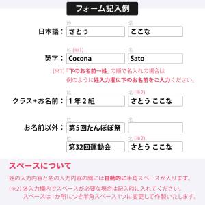 名入れ 鉛筆 赤鉛筆 学習・丸つけ用 赤青鉛筆...の詳細画像5
