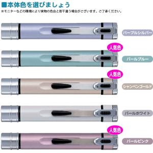 シャチハタ 訂正印 ネームエルツイン ネーム9...の詳細画像1