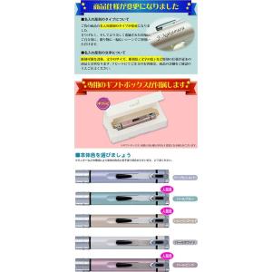 名入れ シャチハタ ネームエルツイン 別注品 ...の詳細画像1