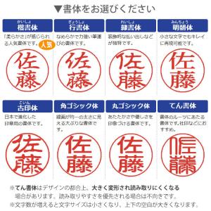 名入れ シャチハタ ネームエルツイン 別注品 ...の詳細画像3