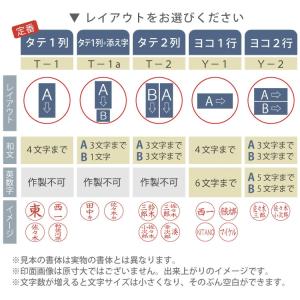 名入れ シャチハタ ネームエルツイン 別注品 ...の詳細画像5