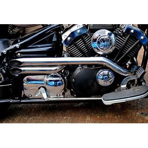 Harley Davidson（ハーレー・ダビッドソン） ステンレス製スポーツ