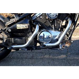 Harley Davidson（ハーレー・ダビッドソン） ステンレス製スポーツ
