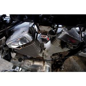 ビラーゴ250　3DM　フロントフォーク　サスペンション　VIRAGO250 ビラーゴ250純正フロントフォーク.右.サスペンション3DMベース