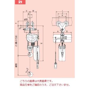 象印（ZOJIRUSHI） FAM型 電気トロリ結合式電気チェーンブロック FAM-2