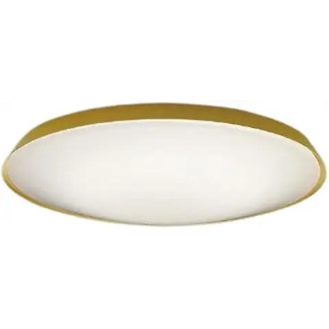 【直送品】 コイズミ照明 シーリング AH55828 【送料別】