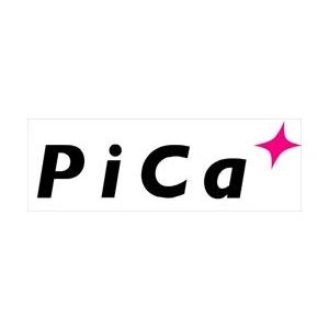 【直送品】 PiCa (ピカ) 電柱支え・巻付けベルトセット LP-BPS