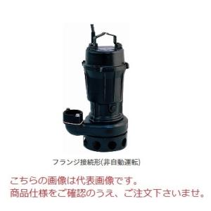 新明和工業 水中ポンプ 汚水 設備用 排水ポンプ CN501-F50 50mm 0.75