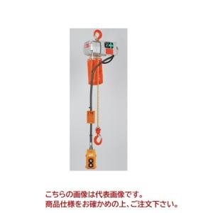 象印（ZOJIRUSHI） β型電気チェーンブロック・200kg・10m BSK20A0 [BS