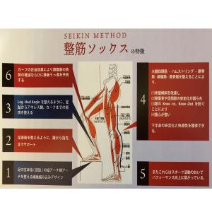 パルード 重心矯正 ソックス 5本指 スポーツ...の詳細画像3