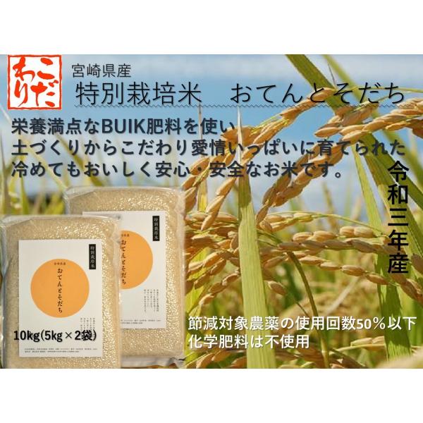 令和7年産 特別栽培米 10kg(5kg×2袋) 送料一部地域無料 宮崎県産　おてんとそだち 冷めて...