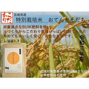 令和7年産 米 特別栽培米3kg 送料無料(一部地域外）宮崎県産 おてんとそだち 冷めても美味しい BUIK米 化学肥料不使用 産地直送　
