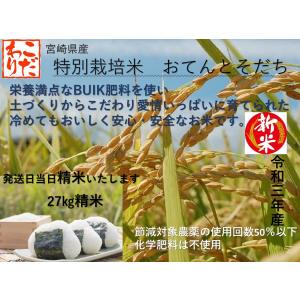 令和7年産 米 特別栽培米 27kg(精米) 送料無料(関西地方以西）宮崎県産おてんとそだち 冷めても美味しいBUIK米 化学肥料不使用 産地直送　