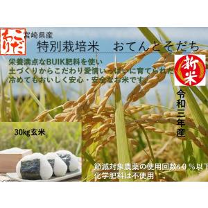 ヒノヒカリ 玄米 30kg 令和7年産 [九州 大分県産 ひのひかり 30kg 米