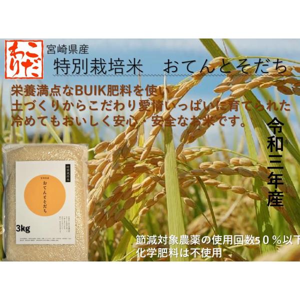 令和7年産 米 特別栽培米3kg 送料無料(一部地域外）宮崎県産 おてんとそだち 冷めても美味しい ...