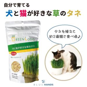 猫草 犬と猫が好きな草のタネ ペットグラス エン麦 200g ねこ草 種