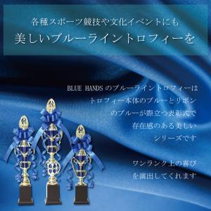 トロフィー 優勝 箱入り ゴルフ コンペ 記念...の詳細画像1