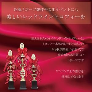 トロフィー 優勝 箱入り ゴルフ コンペ 記念...の詳細画像1