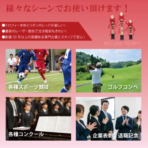 トロフィー 優勝 箱入り ゴルフ コンペ 記念...の詳細画像2
