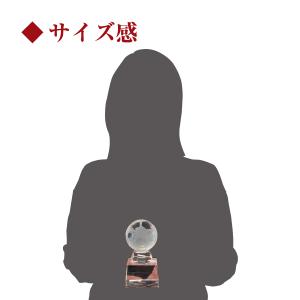 トロフィー クリスタル ガラス ブロンズ 12...の詳細画像5