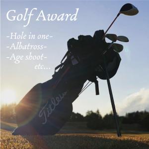 ゴルフ ホールインワン 記念 ボール スタンド...の詳細画像1