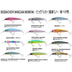 ビックバッカ―湾岸ミノー　128S-LB　ジャッカル　