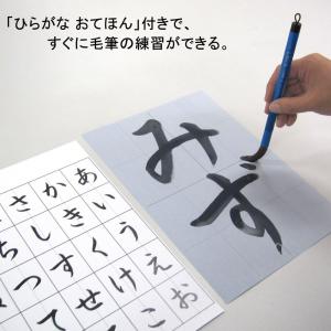 全国送料無料 あかしや 水書きセット [AZ-...の詳細画像4