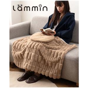 東谷  GLK-220　USBブランケット ブランケット ポケット付き