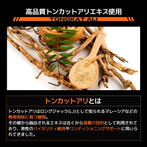 テストステロン 男性 ホルモン サプリ バルク...の詳細画像3
