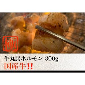 秘伝の味噌ダレ漬け牛まるちょう!!!安心の国産牛ホルモン!!!牛丸腸!!!牛パイプ
