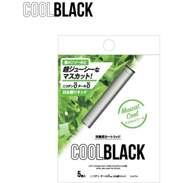 COOLBLACK クールブラック (マスカットクール シルバー)  PloomTech プルームテ...