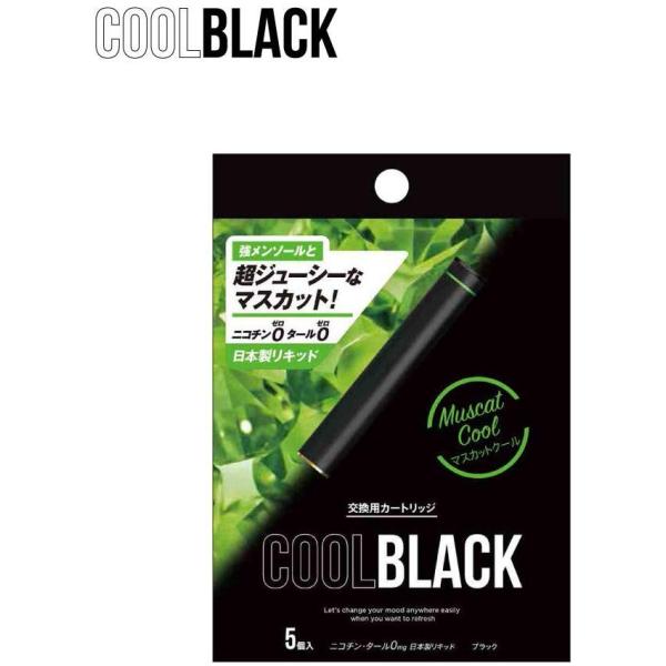 COOLBLACK クールブラック (マスカットクール ブラック)  PloomTech プルームテ...