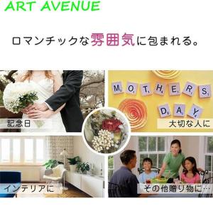 スーパー 手提げ袋付き ドライフラワー 花瓶付...の詳細画像4