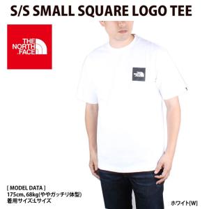 THE NORTH FACE ノースフェイス NT31900 S/S SMALL SQUARE LOGO TEE Tシャツ メンズ レディース｜bumpstore