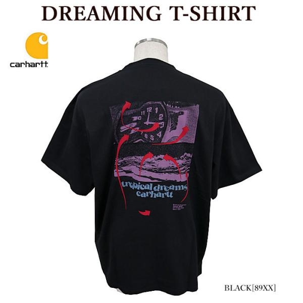 CARHARTT カーハート I030190 DREAMING T-SHIRT 半袖Tシャツ グラフ...